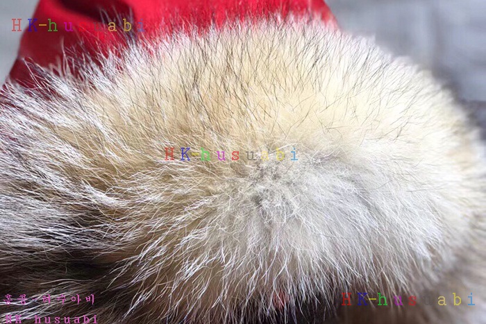 NEW 캐나다구스 패딩 신상 C 0241114