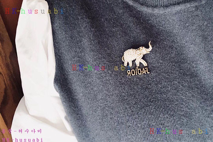 NEW 디올 브로치 신상 D 388876
