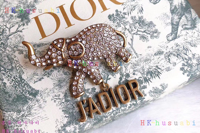 NEW 디올 브로치 신상 D 388876