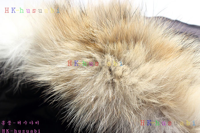 NEW 캐나다구스 패딩 신상 C 1248857