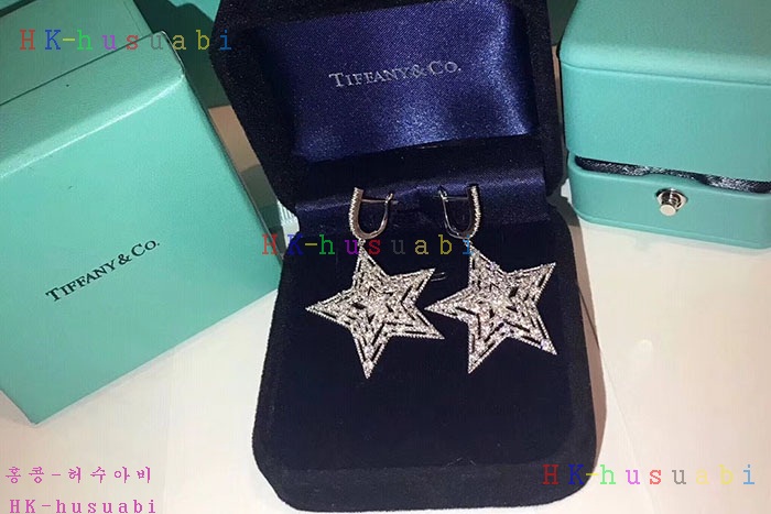 NEW 티파니앤코 귀걸이 신상 T 7582258