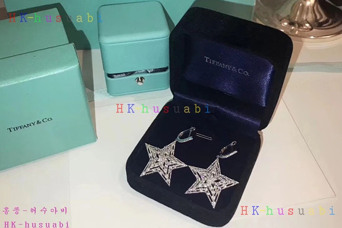 NEW 티파니앤코 귀걸이 신상 T 7582258