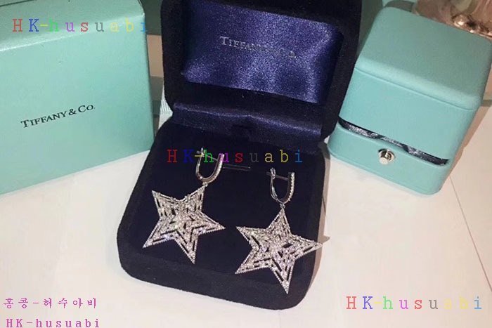 NEW 티파니앤코 귀걸이 신상 T 7582258