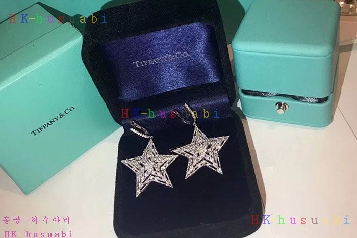 NEW 티파니앤코 귀걸이 신상 T 7582258