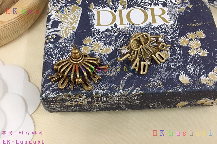 NEW 디올 귀걸이 신상 DR 1142230