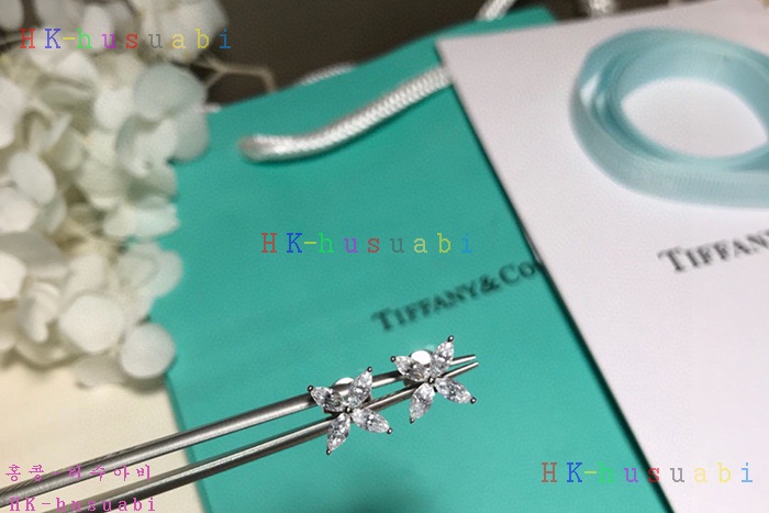 NEW 티파니앤코 귀걸이 신상 T 112421