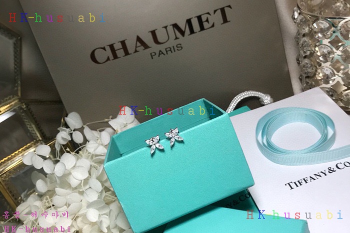 NEW 티파니앤코 귀걸이 신상 T 112421