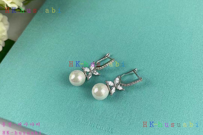 NEW 티파니앤코 귀걸이 신상 T 112424