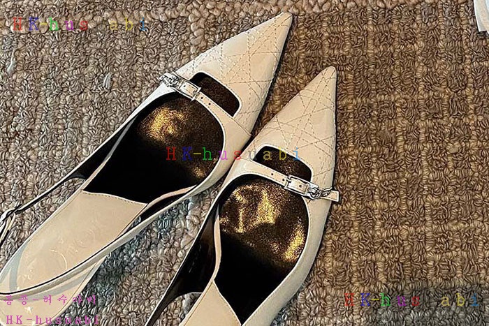 NEW 디올 신발 신상 DR 1185513