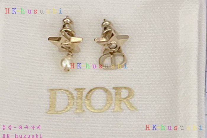 NEW 디올 귀걸이 신상 DR 969900