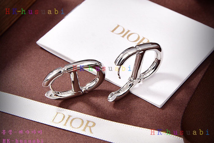 NEW 디올 귀걸이 신상 DR 968560
