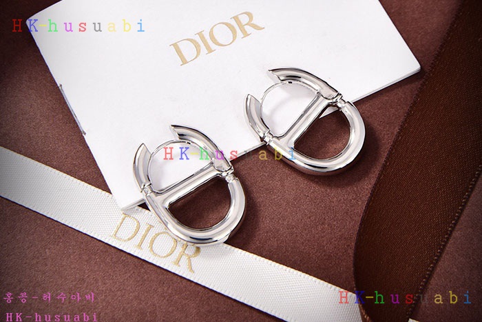 NEW 디올 귀걸이 신상 DR 968560