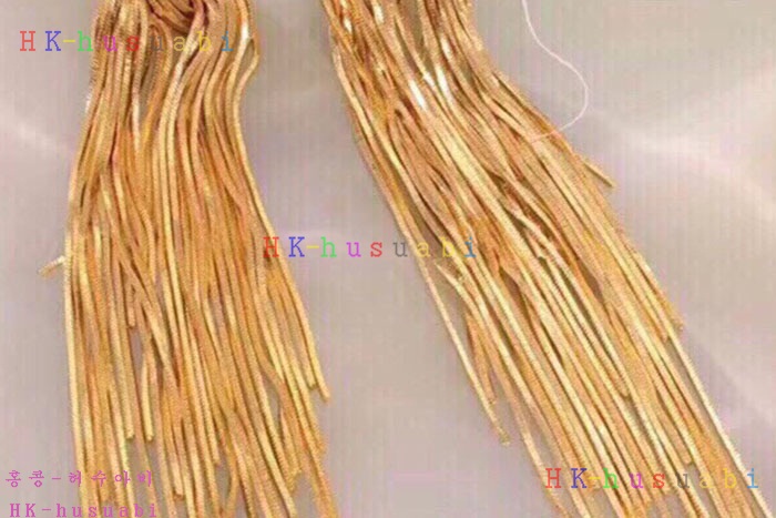 NEW 셀린느 귀걸이 신상  C 528225