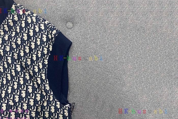 NEW 디올 조끼 신상 DR 497901