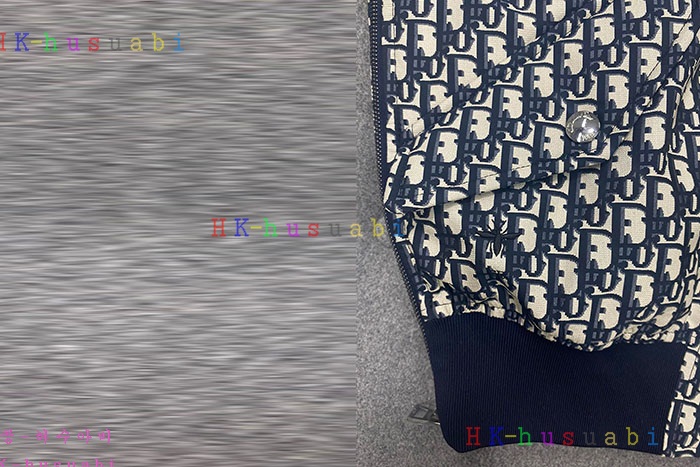 NEW 디올 조끼 신상 DR 497901