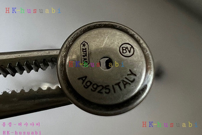 NEW 보테가베네타 귀걸이 신상 BV 958002