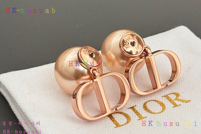 NEW 디올 귀걸이 신상 DR 855028